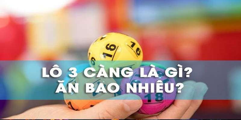 Giải đáp 3 càng ăn bao nhiêu